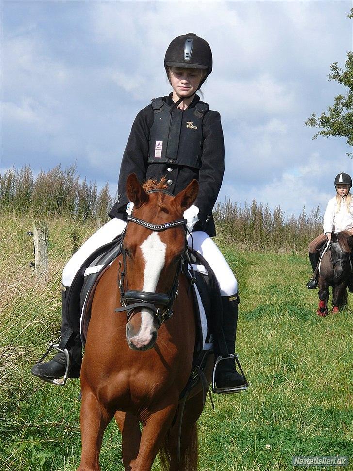 Anden særlig race Ravnsagergaards Torino - mig og bassemanden (-;

Foto: Far, med Helenas kamera. billede 14