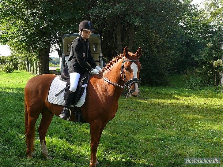 Anden særlig race Ravnsagergaards Torino - jeg elsker dig basse :D ♥

Foto: Far, med Helenas kamera;) billede 15