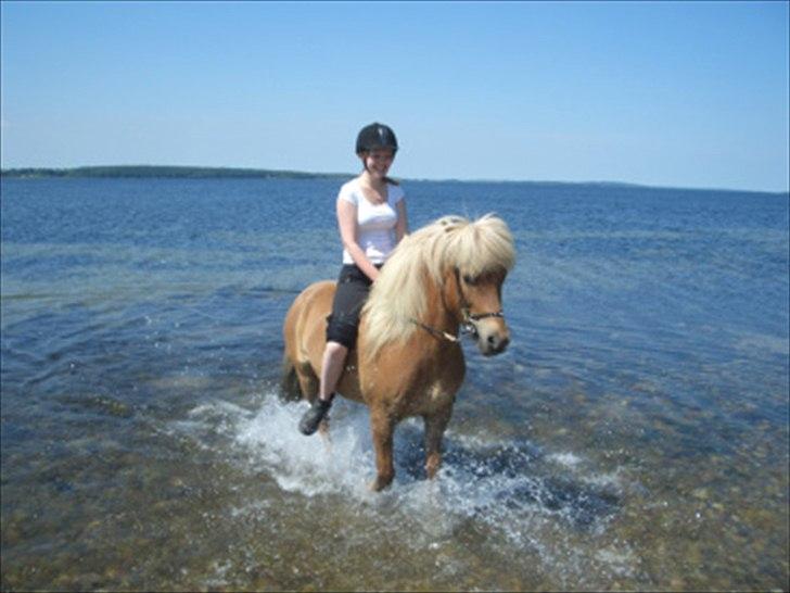 Islænder Joi fra Tyvekrogen billede 7