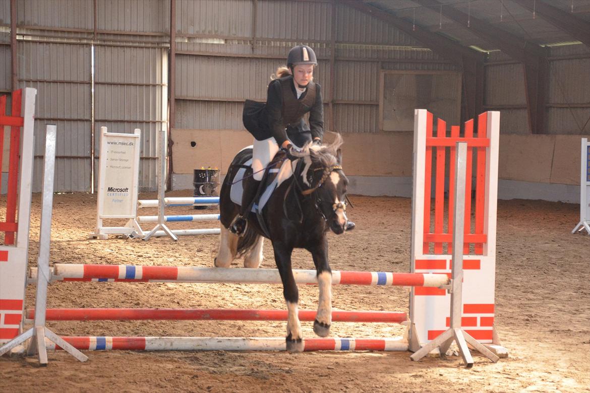 Tinker Tinker - Tarquin [Mors] - Stævne FHSR - LC metode B0 Fejlfri ;) <3 billede 17