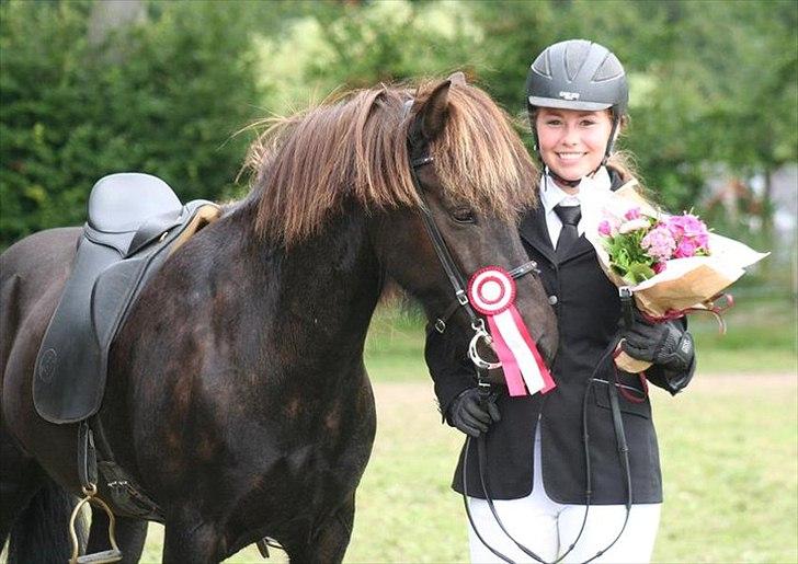 Islænder Háleggur fra S. Sognstrup billede 10