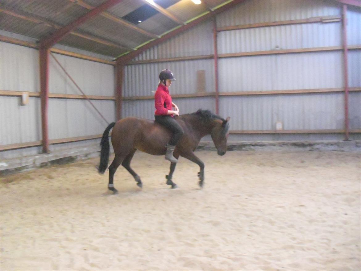 Anden særlig race Mabelle >min smukke< - bare lidt blær, et heldig billed og jeg elsker dig (29. aug. 2011 fg. ann-sofie) billede 11