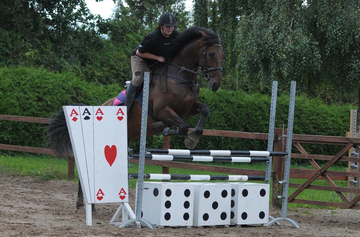 Holstener Wajes Capice (Følle) - Springtræning hjemme. Springer 1M den 28.08.11 billede 2