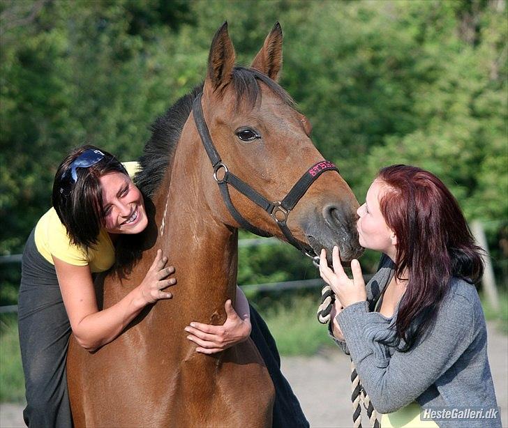 Traver Stella soulmate<3 pension R.I.P - Vores Prinsesse er nu den smukkeste stjerne :'( <3 billede 19