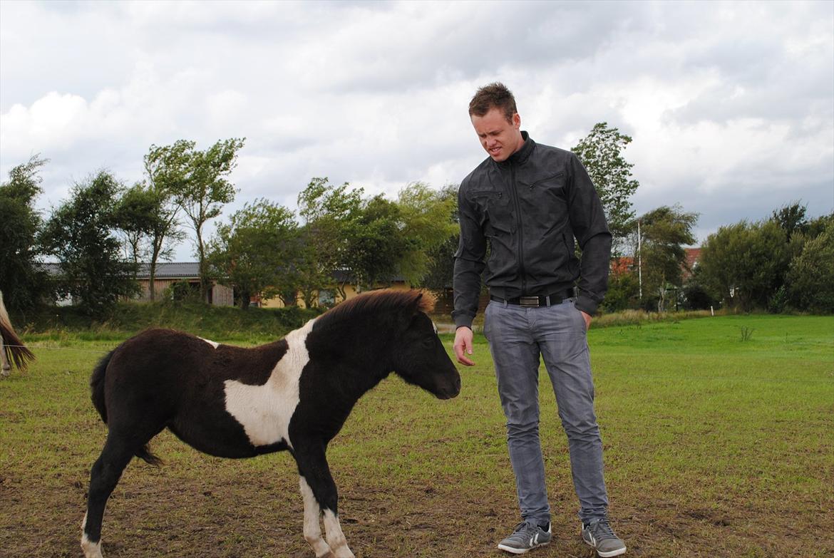Shetlænder Celine - Celine hygger med Rasmus.. :) 28-08-11 billede 10