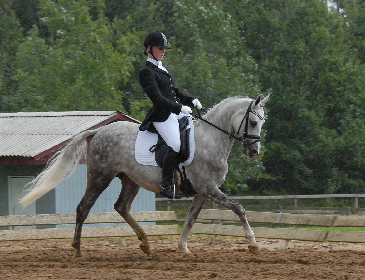 DSP LUCKY MOON - Championat 2011 billede 19