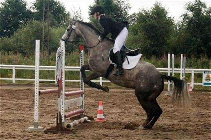 Anden særlig race Gesiah <3 *UDLÅNT* - Gasse og Lotte billede 17