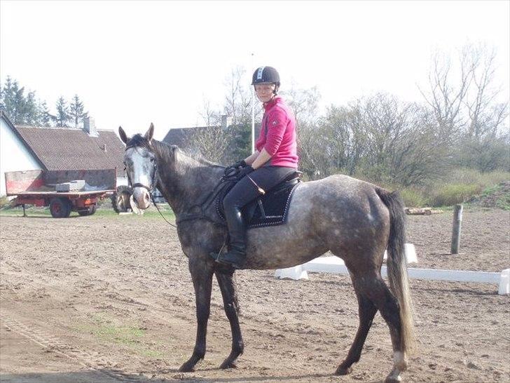 Anden særlig race Gesiah <3 *UDLÅNT* - Under tilridning. billede 18