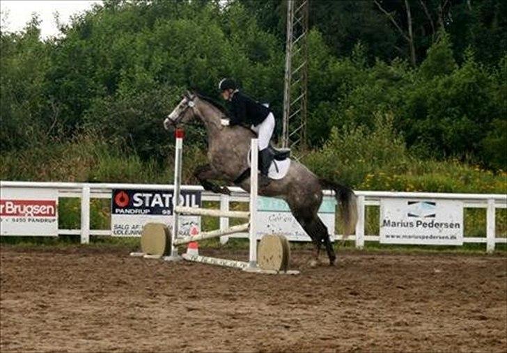 Anden særlig race Gesiah <3 *UDLÅNT* - Smukke Grå og Lotte. billede 20