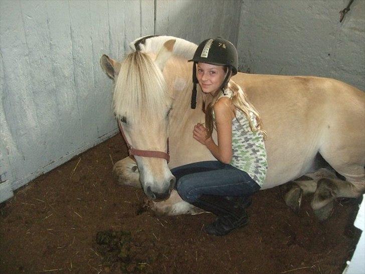 Fjordhest mussepigen - Hun er bare så cute --.--' billede 13