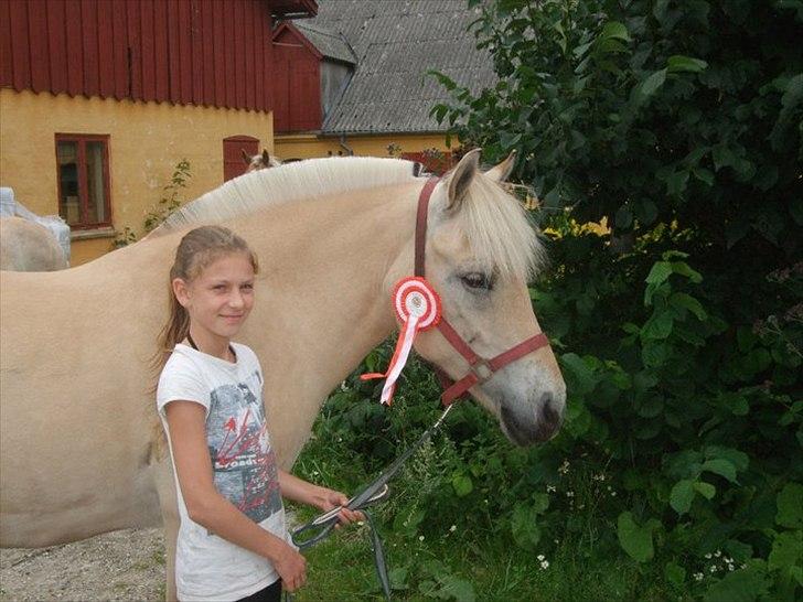 Fjordhest mussepigen - På ridelejerne.
Alle fik en roset. --.--' billede 14