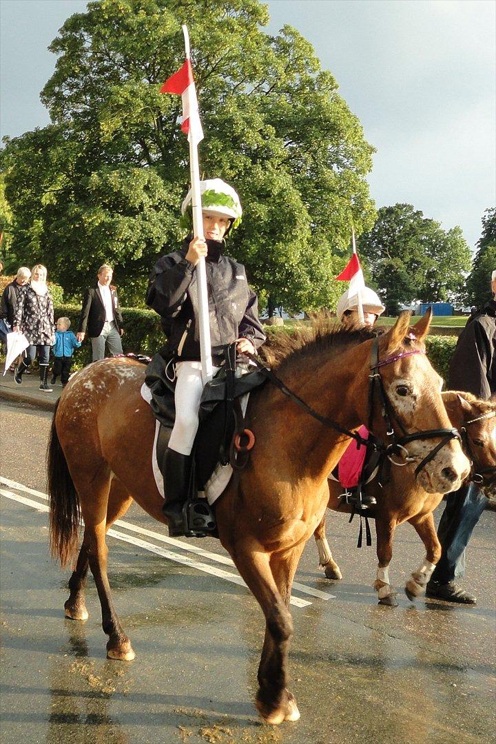 Knabstrupper Frisko - Optog til Sønderborg ringridning 2011 billede 2