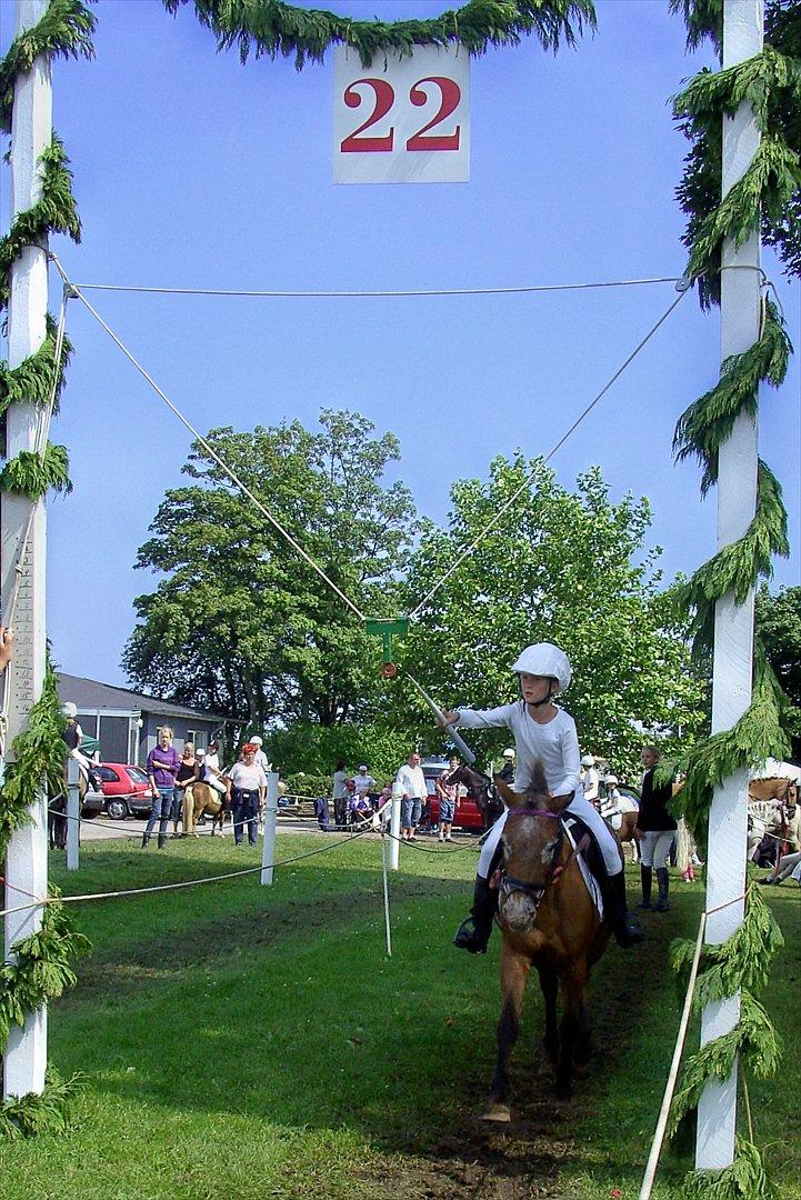 Knabstrupper Frisko - Så gælder det.
Sønderborg ringridning 2011 billede 3