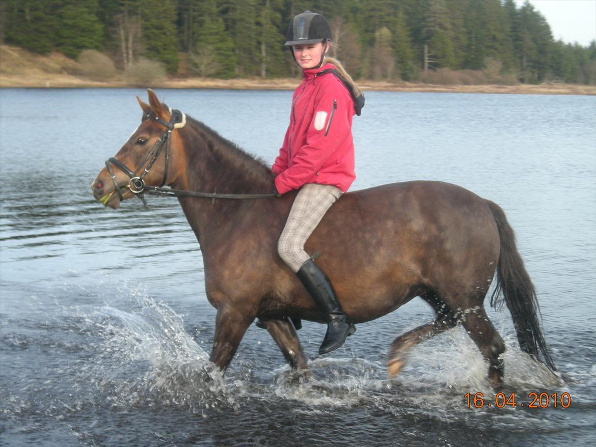 Anden særlig race Ofelia <3 - Mit lille badedyr :-* billede 15