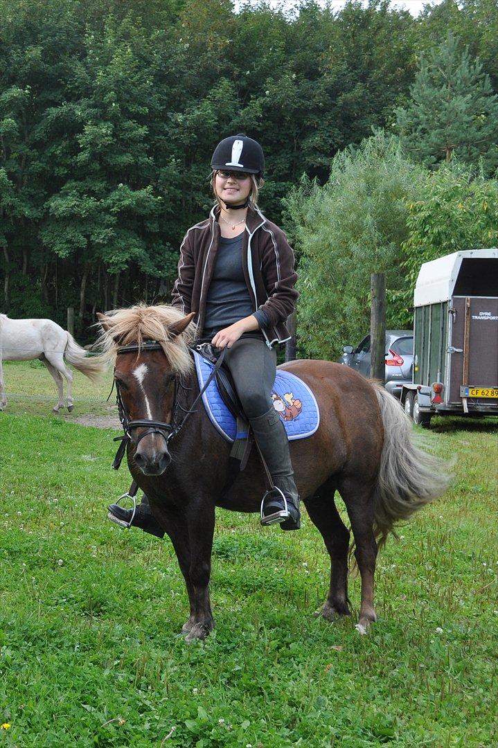 Anden særlig race Pjok - Efter vores sidste ridetur. 14. aug 2011 billede 18