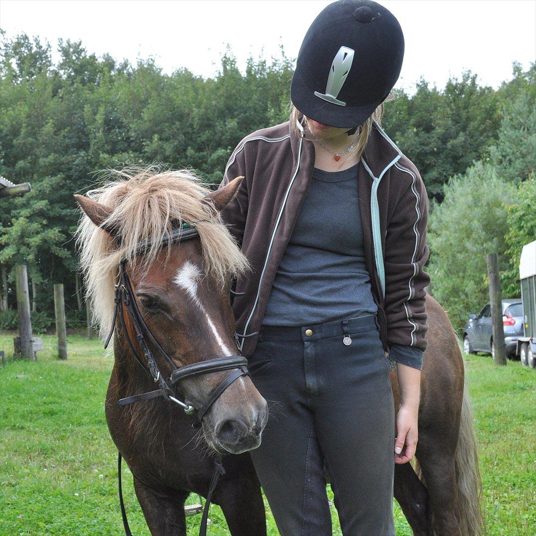 Anden særlig race Pjok - Efter vores sidste ridetur. 14. aug 2011 billede 19