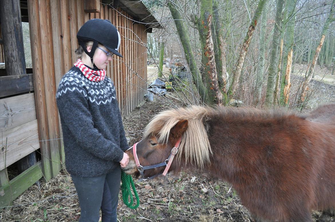Anden særlig race Pjok - En hyggestund. 6. feb 2011 billede 14