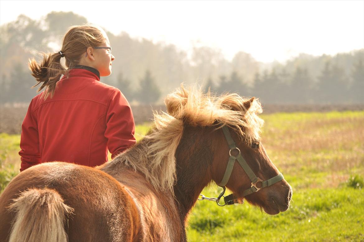 Anden særlig race Pjok - Pjok og jeg ser ud mod horisonten, mod nye eventyr, nye oplevelser. Tak for alt buddy :-) billede 20