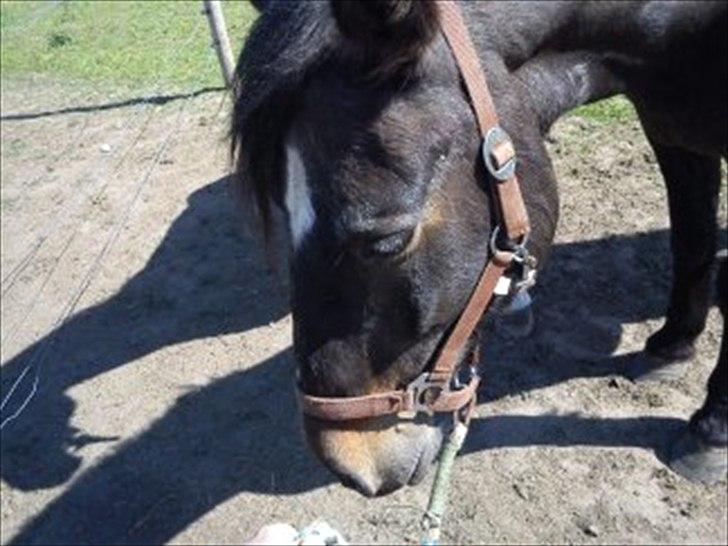 Connemara Design - ''MAD ?!?! HVOR MIN MAD'' billede 7