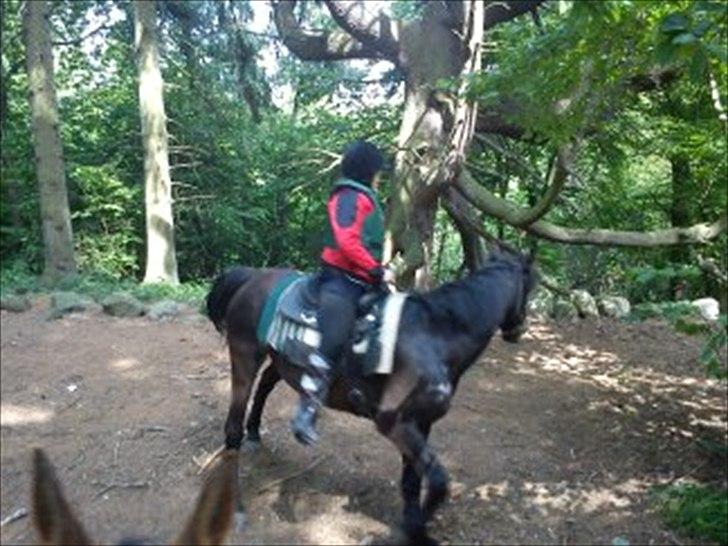 Connemara Design - ham og jeg på skov tur <3  billede 10