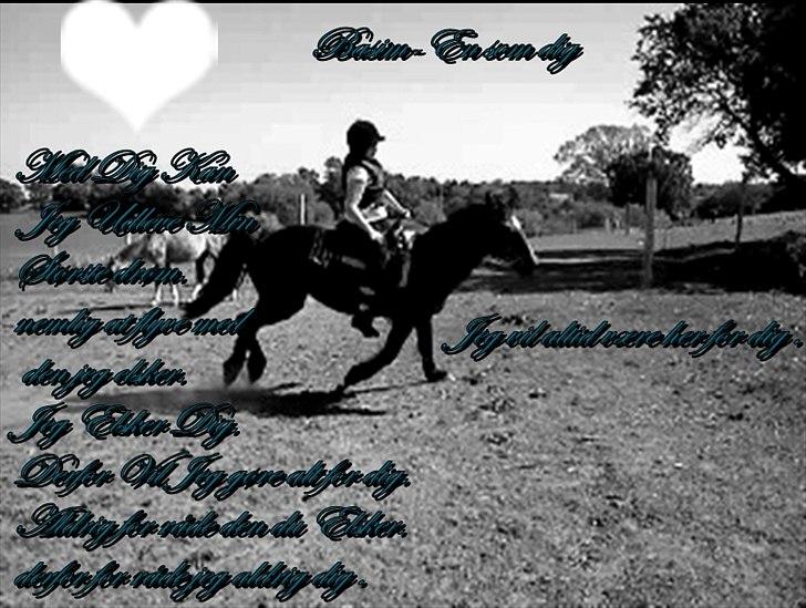 Connemara Design - Ham og jeg der flyver I en Dejlig galop billede 15