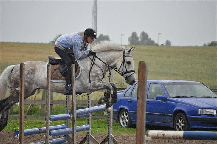Anden særlig race Jock - Trippelbar SpringCamp´11<3 billede 14