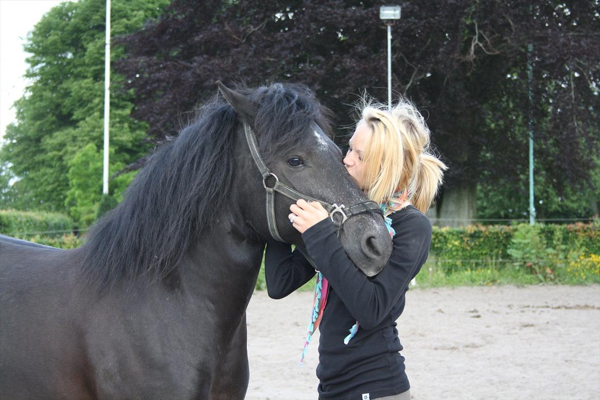 Anden særlig race Elvis - solgt d.22/10/2010 :-'(<3. - Minskaaaat<3333 billede 1