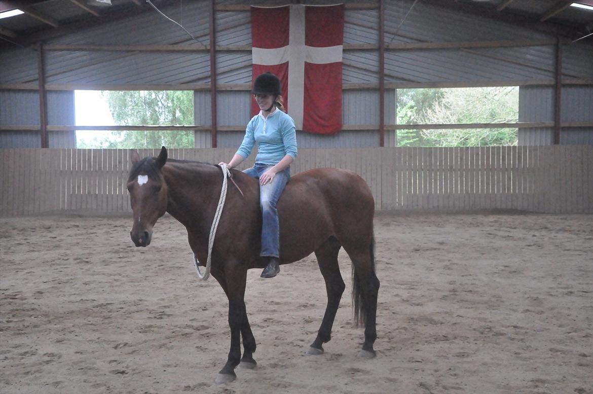 Anden særlig race Cleopatra billede 12