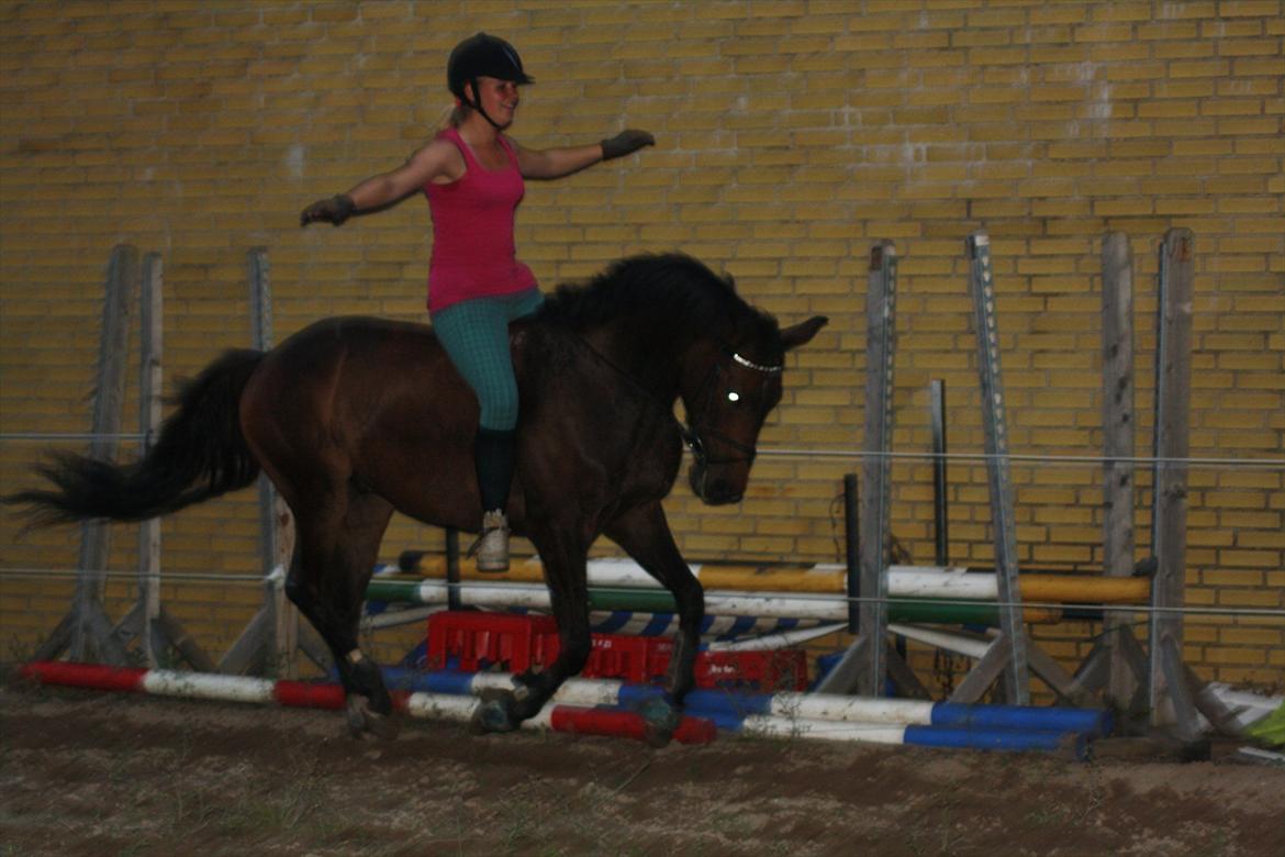 Anden særlig race Nalot - foto: maja godt (mig) billede 17