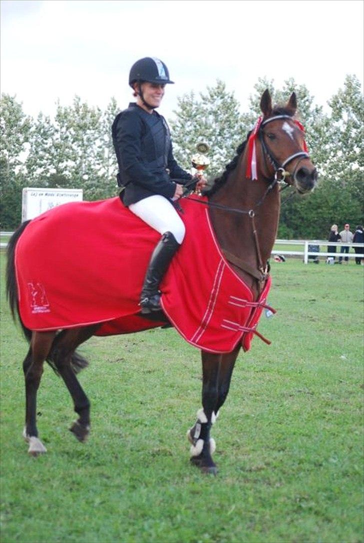 Anden særlig race Kehops De Nonville - Distriktmester 2011 <3 billede 17