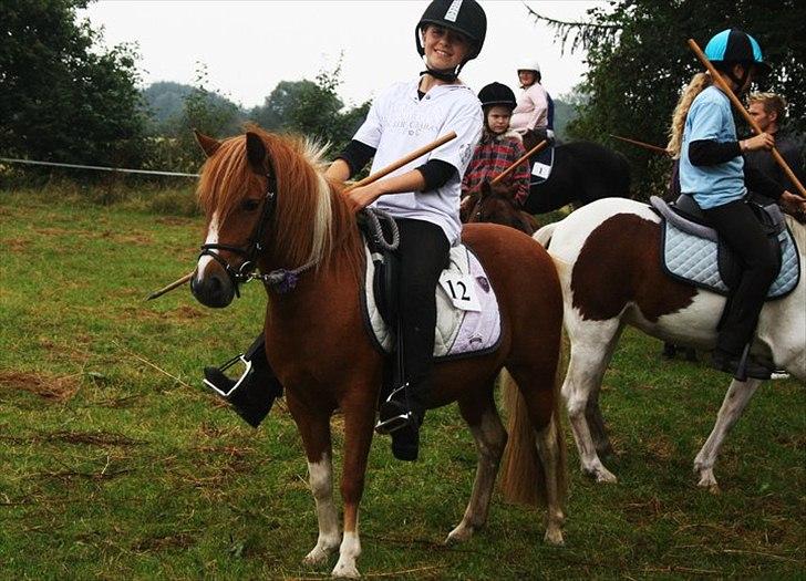 Anden særlig race Laika  billede 20