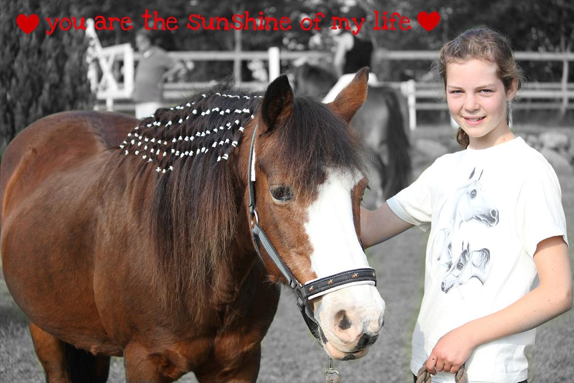 DSP Bibsen (Passer) - You are the sunshine of my life <3  billede 15