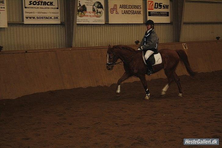 Traver Monty:.... Han hedder rigtig Seep Fella Reg nr.: D billede 10