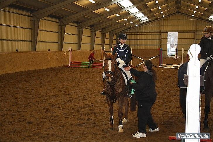 Traver Monty:.... Han hedder rigtig Seep Fella Reg nr.: D billede 17