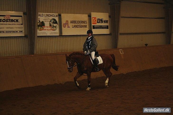 Traver Monty:.... Han hedder rigtig Seep Fella Reg nr.: D billede 18