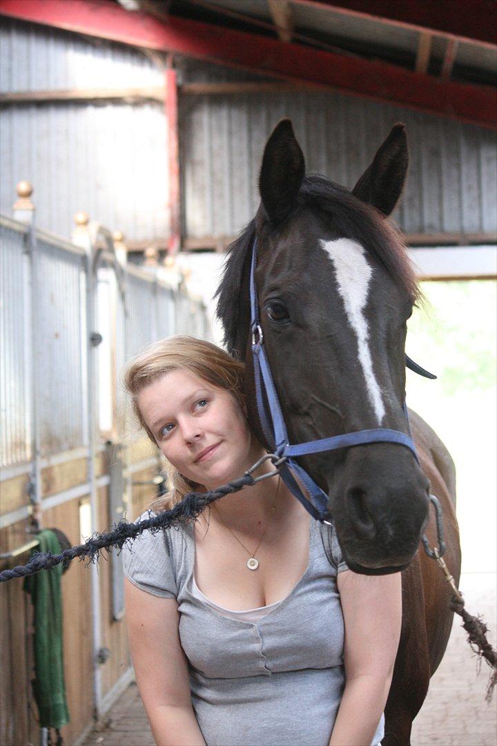 Trakehner Kantate Dyrhave (solgt)  billede 9