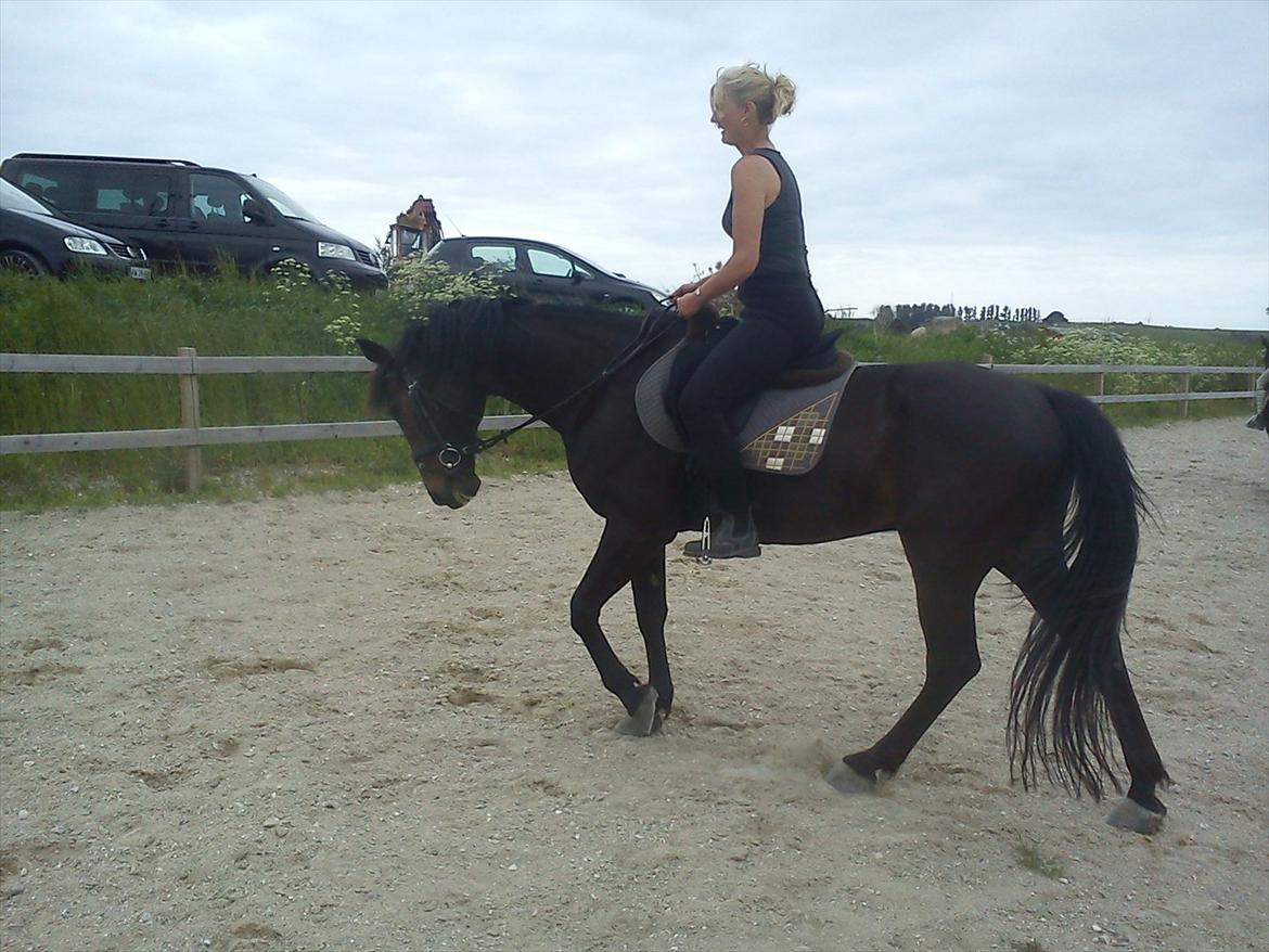 Traver Jet Esteral (Speedy) billede 14