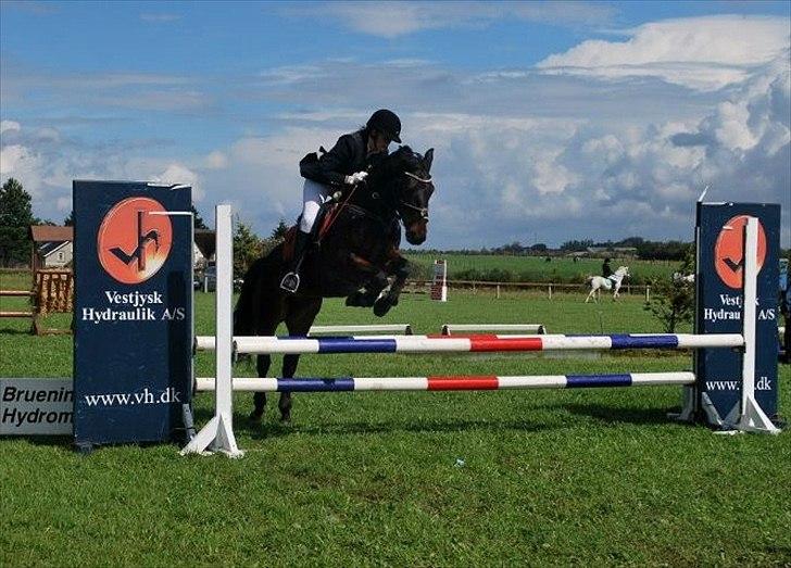 Anden særlig race Yasya <3 - 2011 billede 3