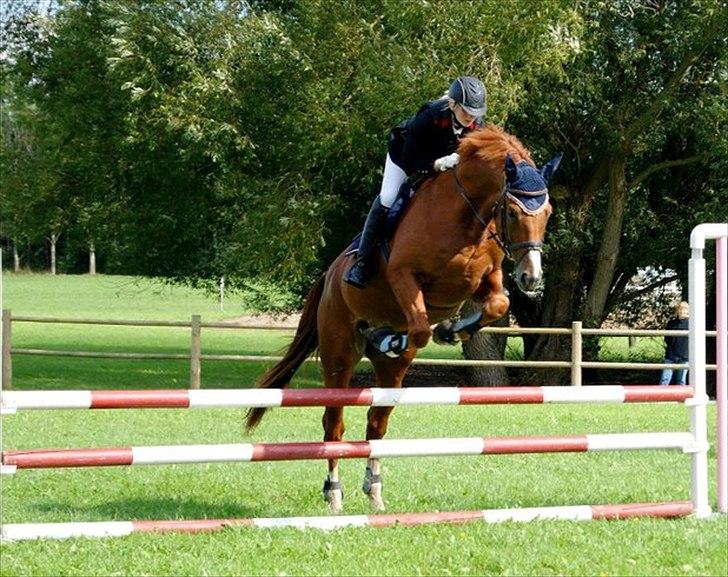 Oldenborg Kubriano langmose - 28/8 - 11 - Holbæk mesterskab - Taget af Sarah Koefoed billede 10