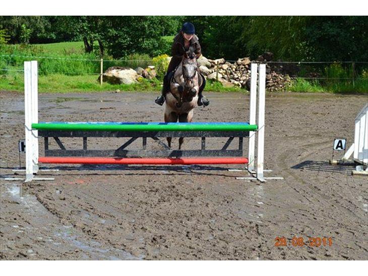 {{currentPhoto.altText}} billede {{currentPhoto.number}}