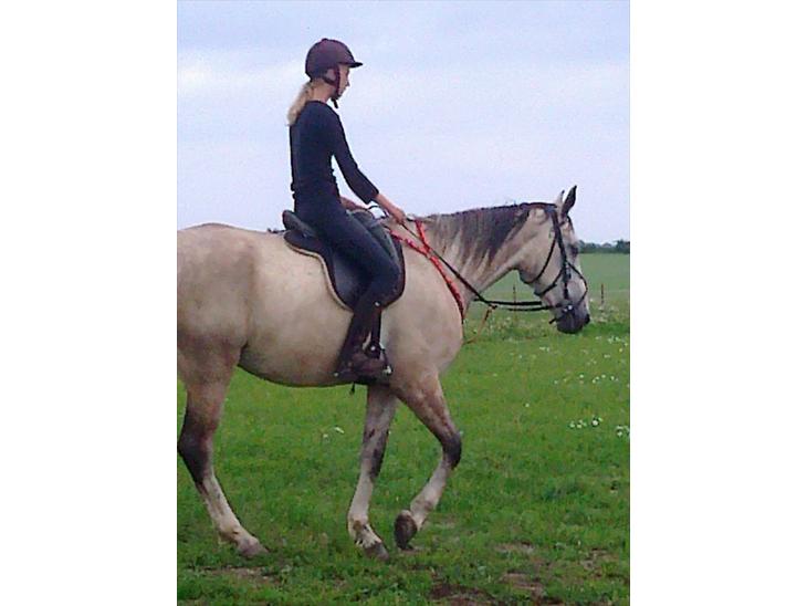 {{currentPhoto.altText}} billede {{currentPhoto.number}}