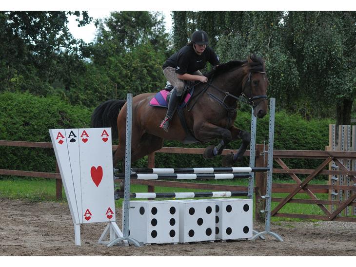 {{currentPhoto.altText}} billede {{currentPhoto.number}}