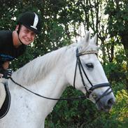 Anden særlig race Elvis Vibjerg