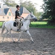 Anden særlig race Elvis Vibjerg