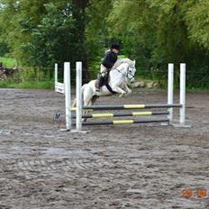 Anden særlig race milan