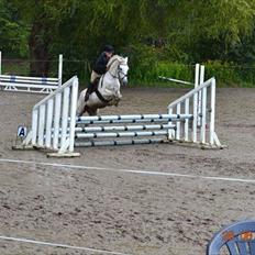 Anden særlig race milan