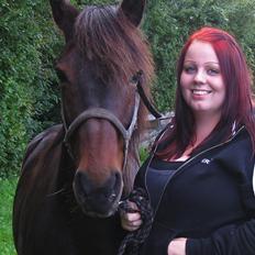 New Forest Cirkeline 