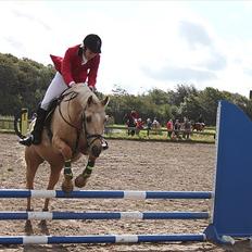 Palomino Klepholms Pegasos/Palle