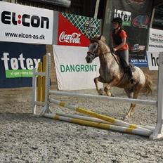 Anden særlig race Jolly Jumper