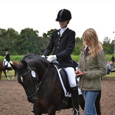 Tysk Sportspony Pandora 